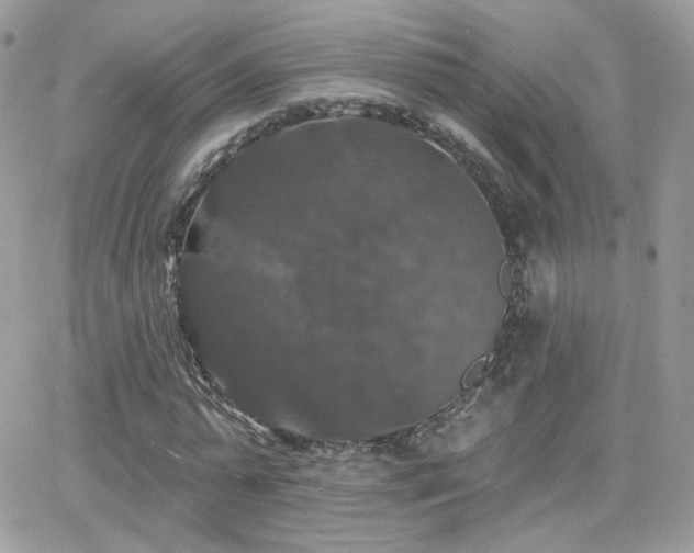 X0000066970775200603271207