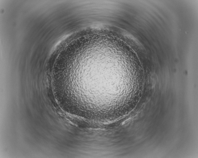 X0000066970776200603271207