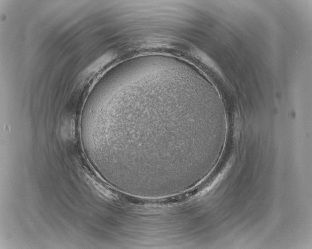 X0000066970777200603271207