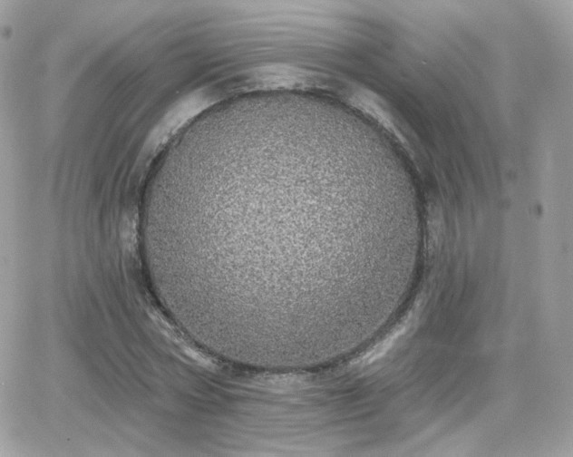 X0000066970778200603271207