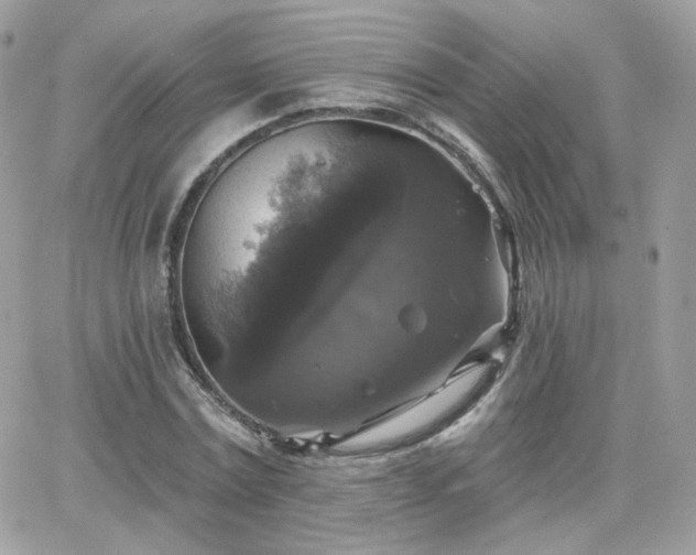 X0000066970779200603271207