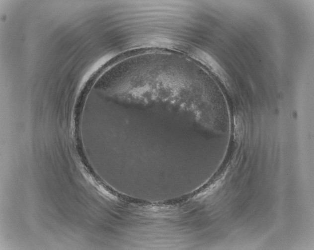 X0000066970780200603271207