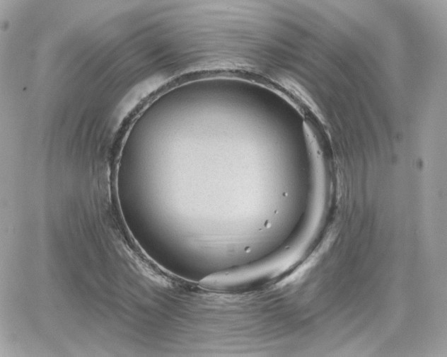 X0000066970781200603271207