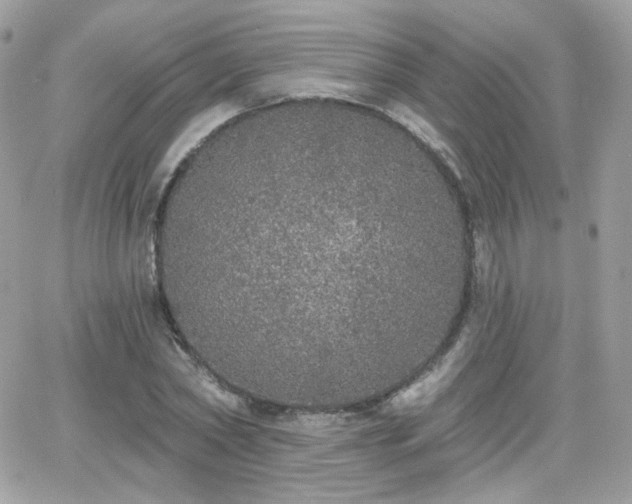 X0000066970782200603271207