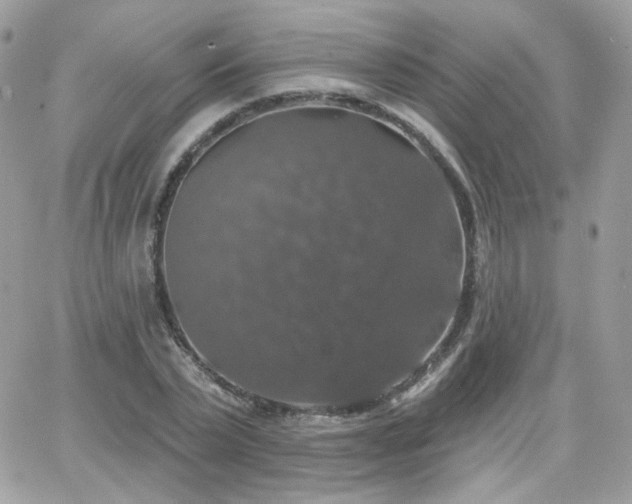 X0000066970783200603271207