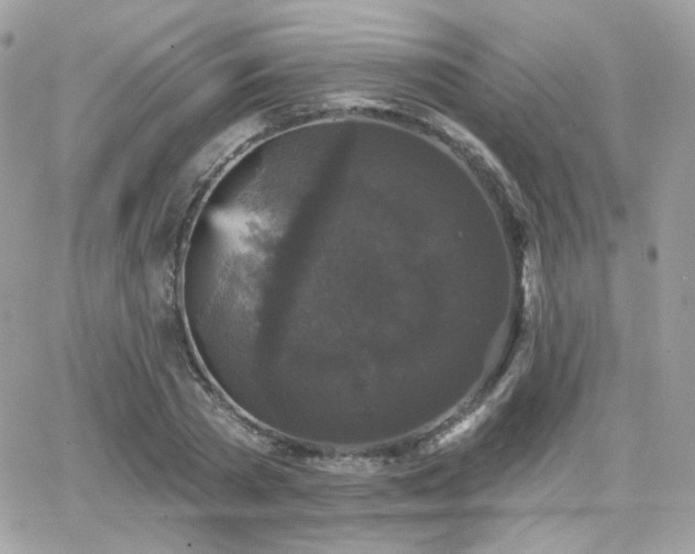 X0000066970785200603271207