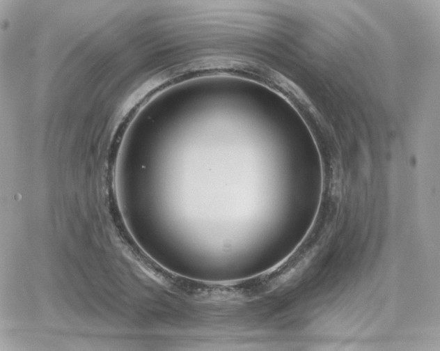 X0000066970786200603271207