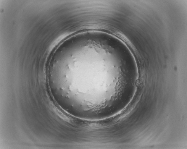 X0000066970787200603271207