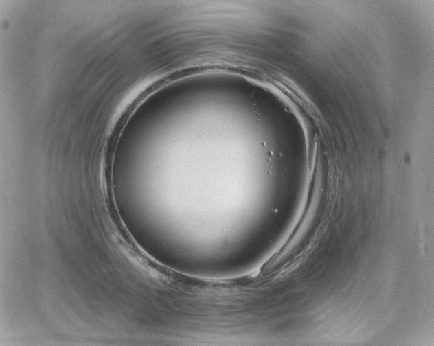 X0000066970788200603271207