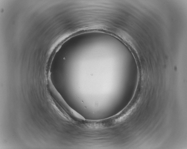 X0000066970789200603271207