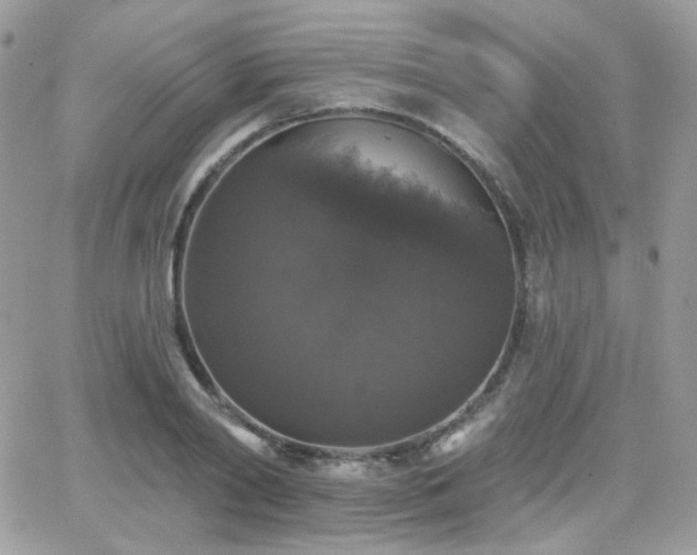 X0000066970790200603271207