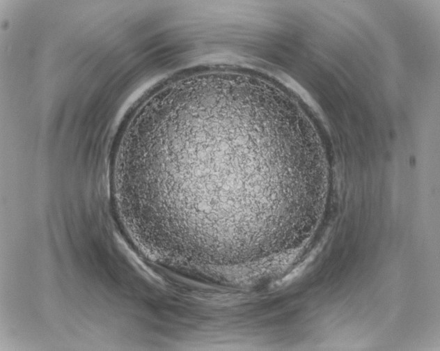 X0000066970791200603271207