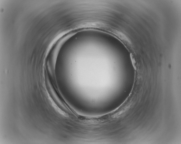 X0000066970792200603271207