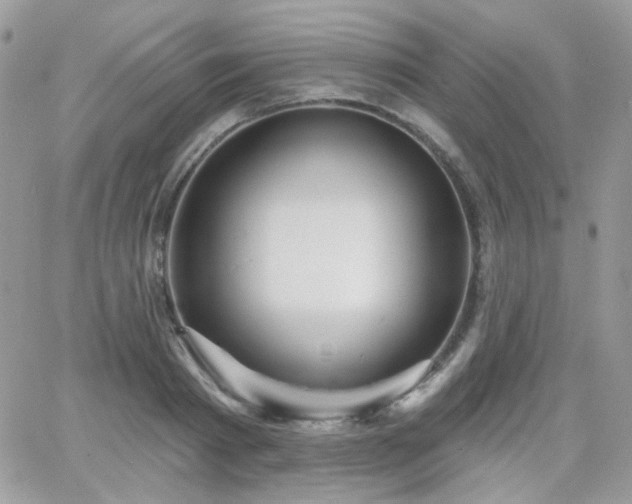 X0000066970793200603271207