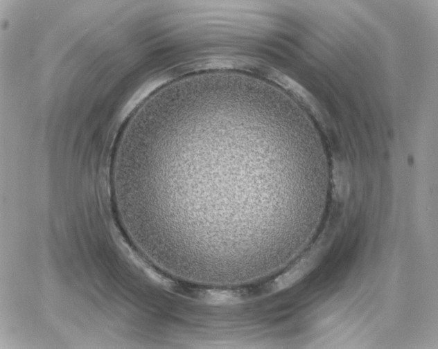 X0000066970794200603271207