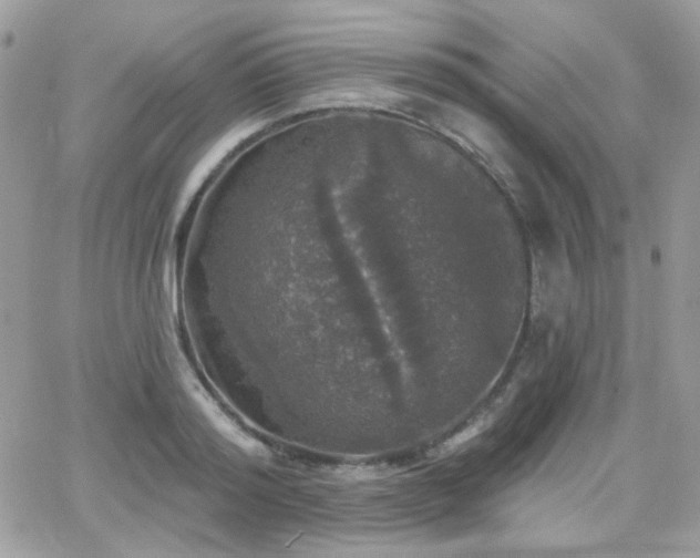 X0000066970796200603271207