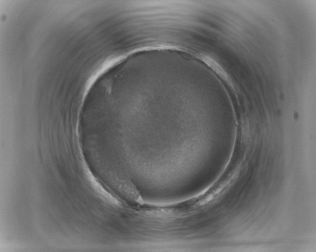 X0000066970797200603271207