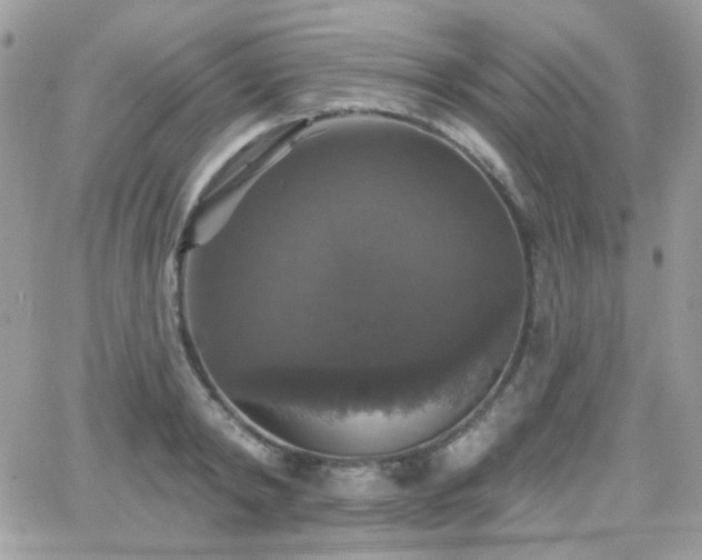 X0000066970798200603271207