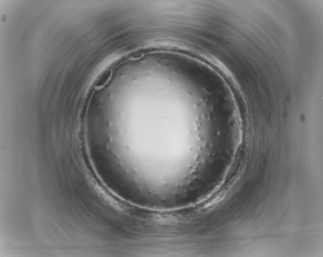 X0000066970799200603271207