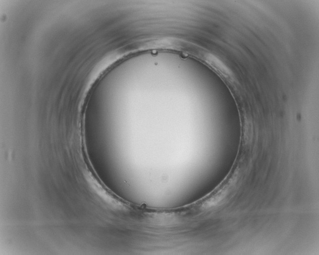 X0000066970800200603271207