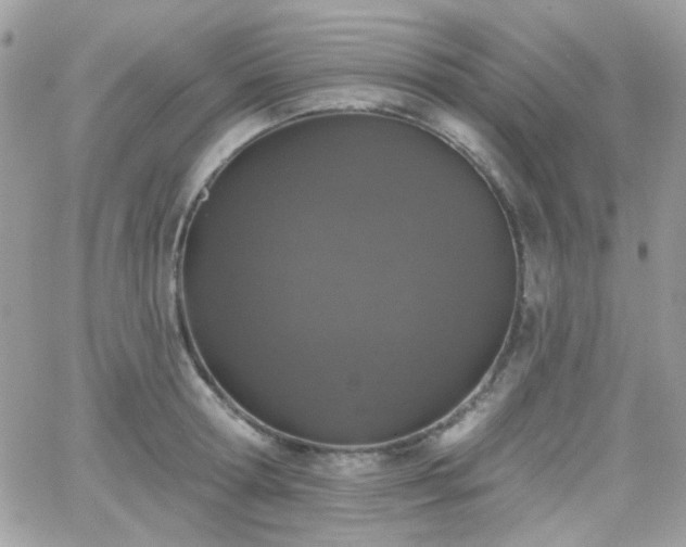 X0000066970802200603271207