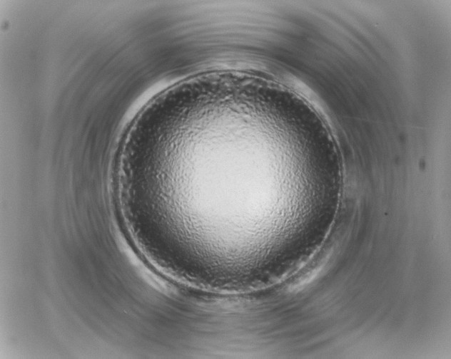 X0000066970803200603271206