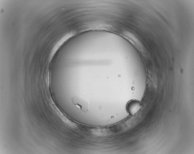 X0000066970804200603271206