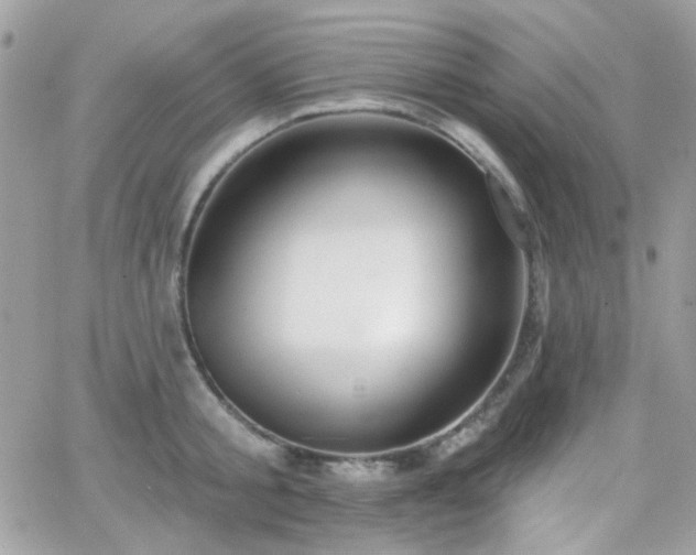 X0000066970805200603271206