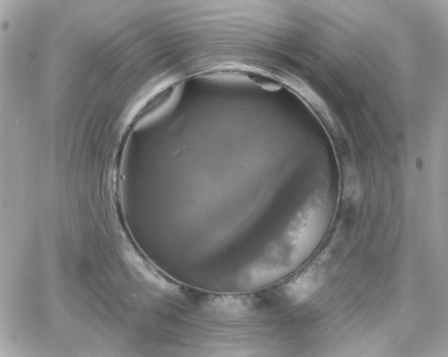 X0000066970806200603271206