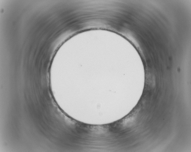 X0000066970807200603271206