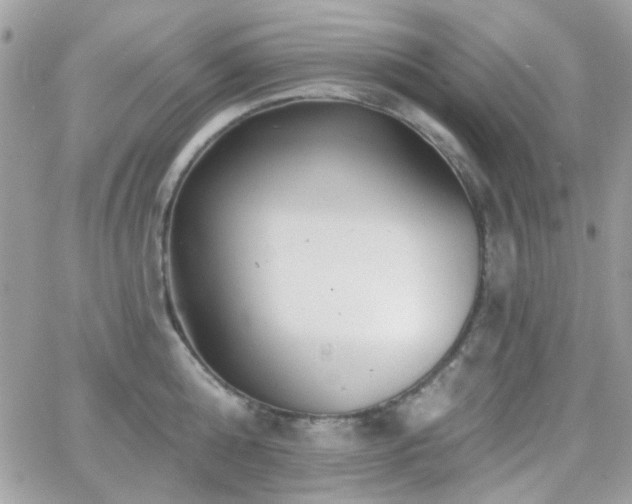 X0000066970808200603271206