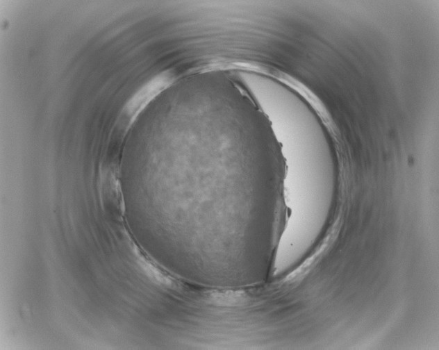 X0000066970809200603271206