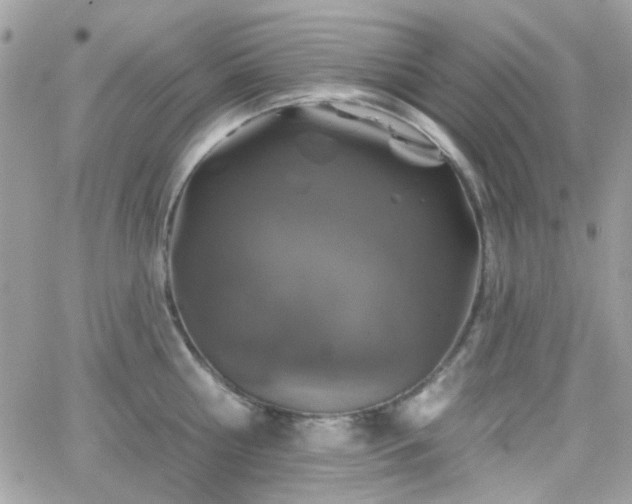 X0000066970810200603271206