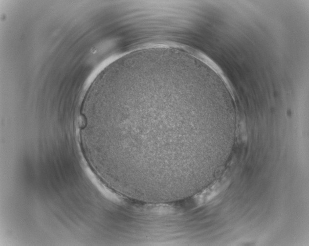 X0000066970811200603271206