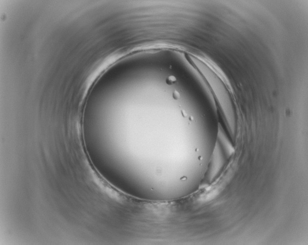 X0000066970813200603271206