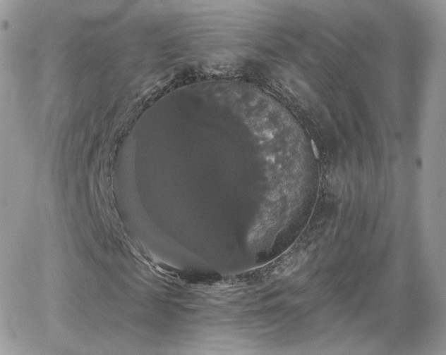 X0000066970817200603271206