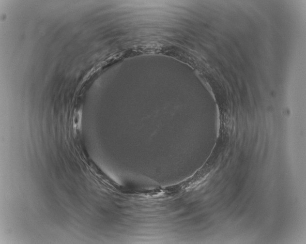 X0000066970818200603271206