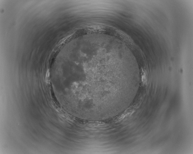 X0000066970819200603271206