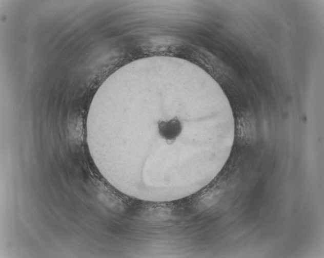 X0000066970820200603271206