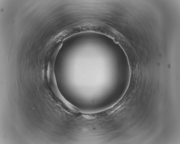 X0000066970822200603271206