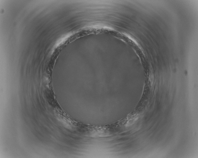 X0000066970823200603271206