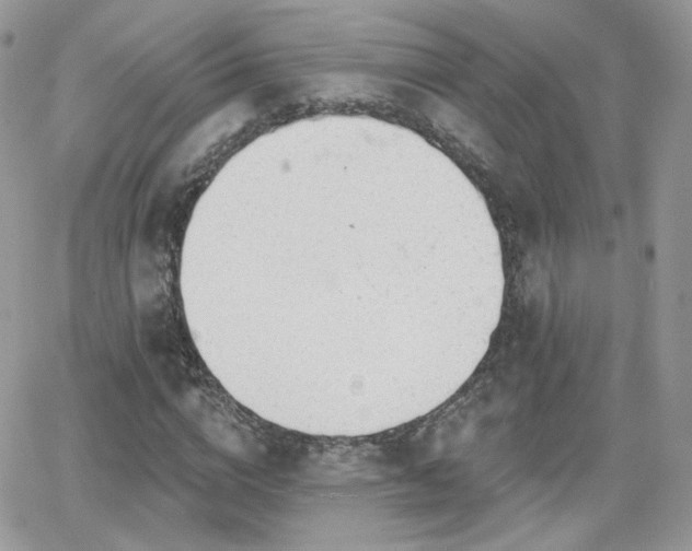 X0000066970824200603271206