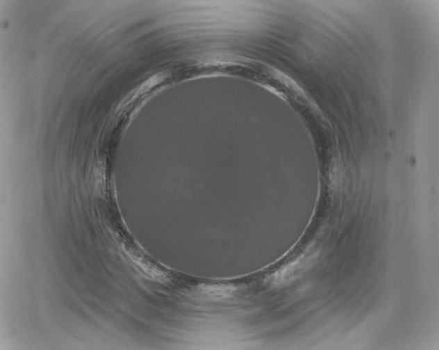 X0000066970825200603271206