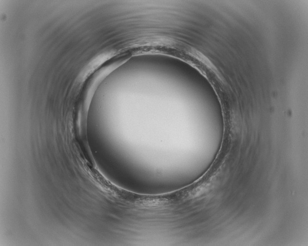 X0000066970826200603271206