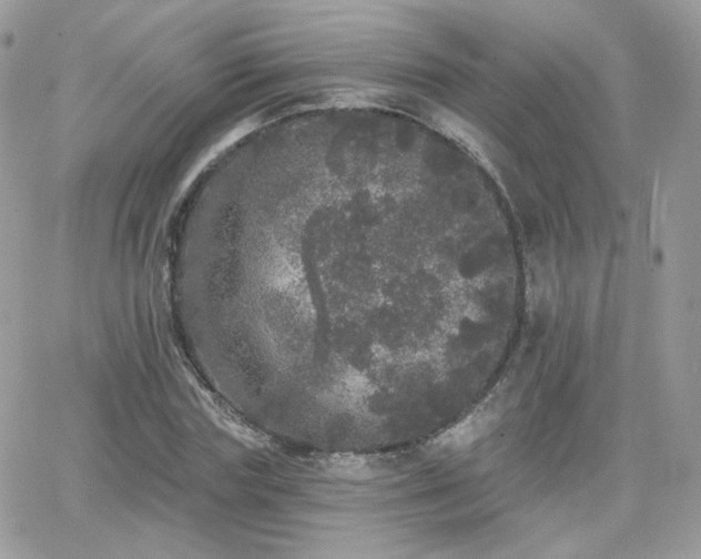 X0000066970827200603271206