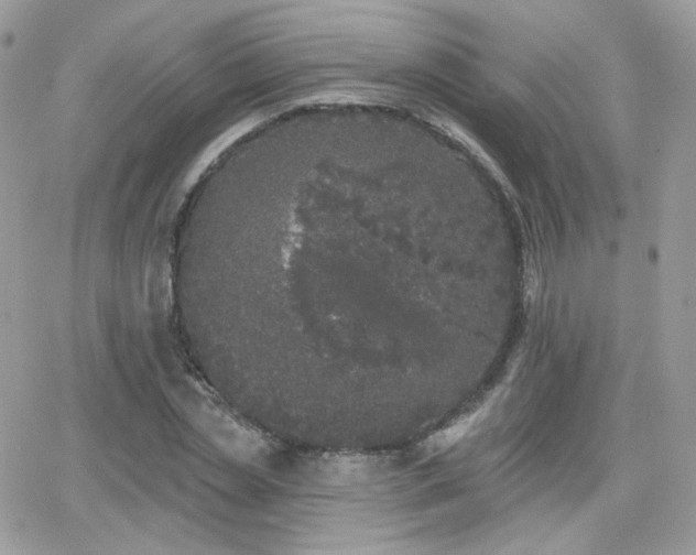 X0000066970829200603271206