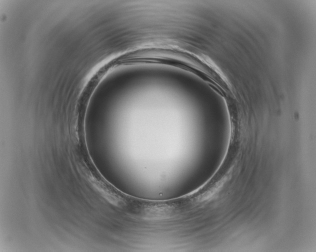 X0000066970830200603271206