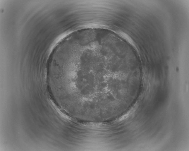 X0000066970831200603271206