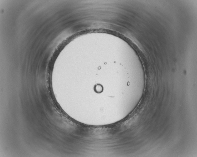 X0000066970832200603271206