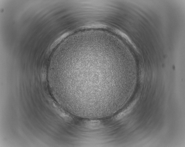 X0000066970833200603271206